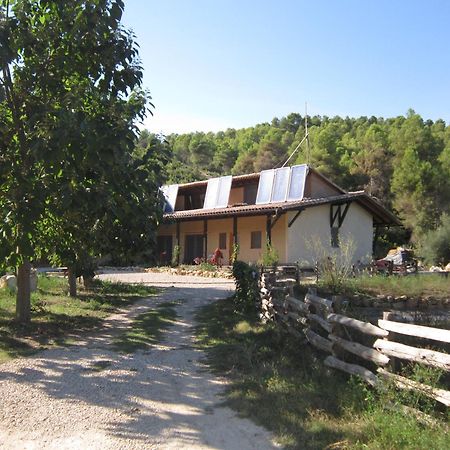Mas La Llum, La Casa De Palla Аренс-де-Льедо Экстерьер фото